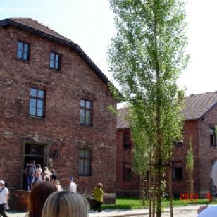 Touring the grounds of the Auschwitz Memorial